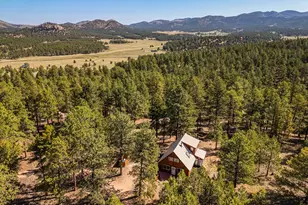 111 Sioux Trail, Westcliffe, CO 81252 - Photo 2