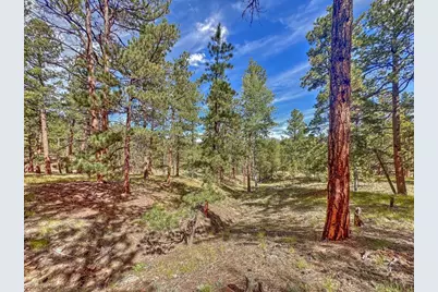 111 Sioux Trail, Westcliffe, CO 81252 - Photo 28