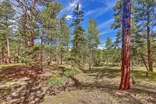 111 Sioux Trail, Westcliffe, CO 81252 - Photo 28