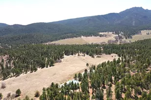 3990 Northcreek Rd, Beulah, CO 81023 - Photo 56