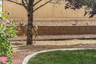 293 W Hahns Peak Ave, Pueblo West, CO 81007 - Photo 42