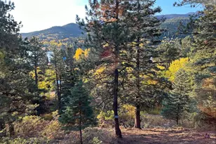 82 Gold Hill Dr, Rye, CO 81069 - Photo 18