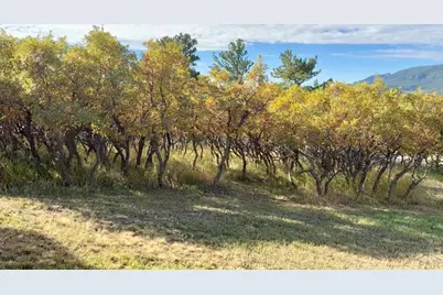 7970 Grand Vista Dr, Rye, CO 81069 - Photo 30