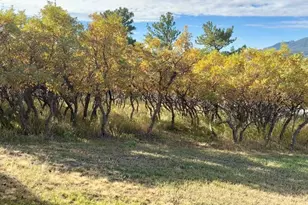 7970 Grand Vista Dr, Rye, CO 81069 - Photo 30