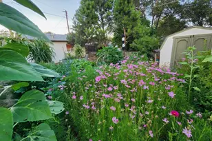 3503 Baystate Ave, Pueblo, CO 81005 - Photo 32