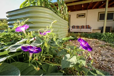 3503 Baystate Ave, Pueblo, CO 81005 - Photo 42