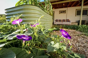 3503 Baystate Ave, Pueblo, CO 81005 - Photo 42