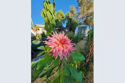 3503 Baystate Ave, Pueblo, CO 81005 - Photo 36