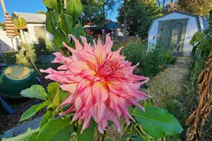 3503 Baystate Ave, Pueblo, CO 81005 - Photo 36