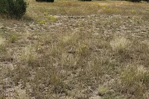 3485 Canyon Heights Rd, Pueblo, CO 81005 - Photo 18