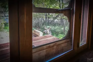 8882 Grand Ave, Beulah, CO 81023 - Photo 10