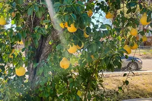 1322 Lincoln Ave, La Junta, CO 81050 - Photo 16