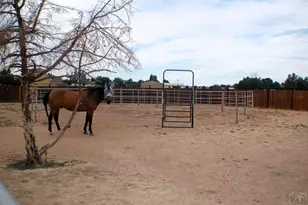 973 W McCulloch Blvd N, Pueblo West, CO 81007 - Photo 28