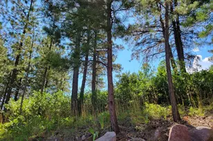 8946 Cottonwood Dr, Beulah, CO 81023 - Photo 52