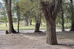 903 Catalpa St, Pueblo, CO 81001 - Photo 6