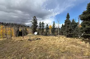 3726 Hwy 165, Wetmore, CO 81253 - Photo 42