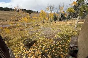 3726 Hwy 165, Wetmore, CO 81253 - Photo 18