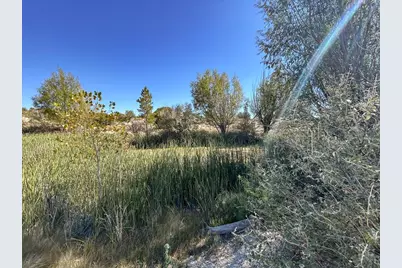 1785 County Rd 120, Penrose, CO 81240 - Photo 26