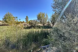 1785 County Rd 120, Penrose, CO 81240 - Photo 26