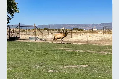 1785 County Rd 120, Penrose, CO 81240 - Photo 30