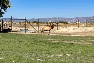 1785 County Rd 120, Penrose, CO 81240 - Photo 30