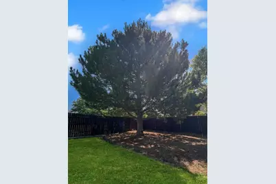 204 Bridle Trail, Pueblo, CO 81005 - Photo 6