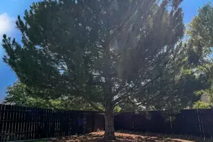 204 Bridle Trail, Pueblo, CO 81005 - Photo 6