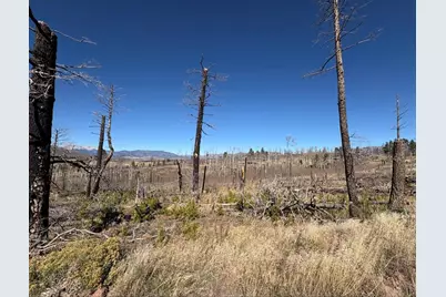 1070 Reed Ln, Fort Garland, CO 81133 - Photo 2