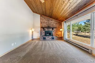 8068 Elna, Rye, CO 81069 - Photo 4