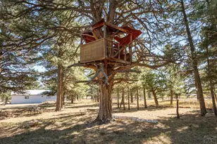 8068 Elna, Rye, CO 81069 - Photo 64