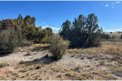 Tbd Cripple Creek Dr., Colorado City, CO 81019 - Photo 6