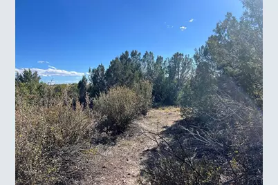 Tbd Cripple Creek Dr., Colorado City, CO 81019 - Photo 14