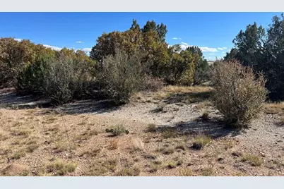 Tbd Cripple Creek Dr., Colorado City, CO 81019 - Photo 8