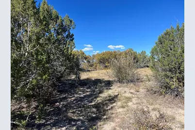 Tbd Cripple Creek Dr., Colorado City, CO 81019 - Photo 20