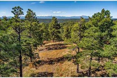 33250 Fox Trail, Trinidad, CO 81082 - Photo 14