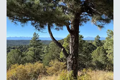 33250 Fox Trail, Trinidad, CO 81082 - Photo 2