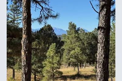 33250 Fox Trail, Trinidad, CO 81082 - Photo 4