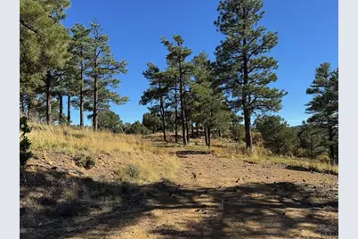 33250 Fox Trail, Trinidad, CO 81082 - Photo 6