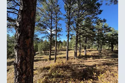 33250 Fox Trail, Trinidad, CO 81082 - Photo 8