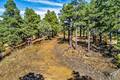 33250 Fox Trail, Trinidad, CO 81082 - Photo 10