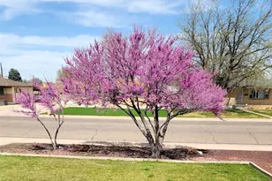 62 Amherst Ave, Pueblo, CO 81005 - Photo 46