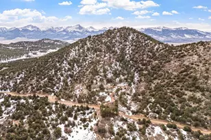 1301 Pheasant Loop, Westcliffe, CO 81252 - Photo 2