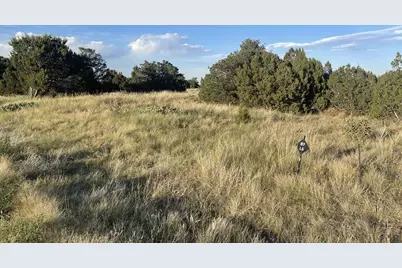 Tbd Black Diamond Park, Walsenburg, CO 81089 - Photo 2