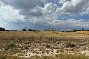 1317 N Gantts Fort Ave, Pueblo West, CO 81007 - Photo 1