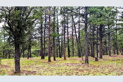 13563 Meadow Lark Dr, Weston, CO 81091 - Photo 20