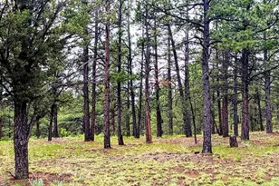 13563 Meadow Lark Dr, Weston, CO 81091 - Photo 20