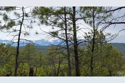 13563 Meadow Lark Dr, Weston, CO 81091 - Photo 4