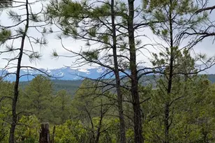 13563 Meadow Lark Dr, Weston, CO 81091 - Photo 4