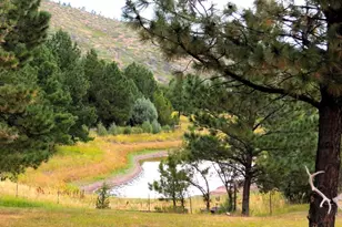 6430 Signal Mountain Rd, Beulah, CO 81023 - Photo 70