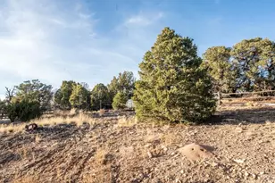 1950 Co Rd 510, Walsenburg, CO 81089 - Photo 48